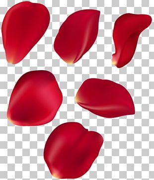 Manchester Heart For Art Tattoo Heart For Art Tattoo PNG, Clipart, Art ...