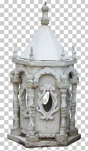 Bird PhotoScape Cage PNG
