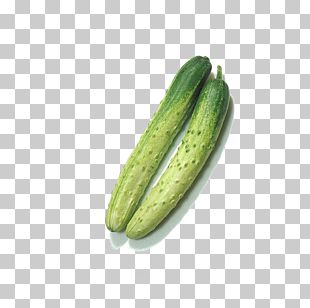 Pickled Cucumber Pizza Vegetarian Cuisine Milk PNG
