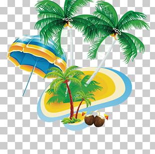 Tree Beach PNG, Clipart, Arecales, Autumn Tree, Beach, Branch ...