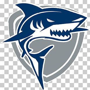 Shark Logo PNG, Clipart, Animals, Aqua, Blue Shark, Cartilaginous Fish ...