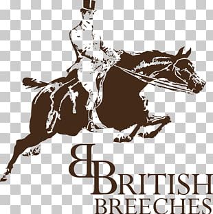 Mustang English Riding Rein Stallion Cowboy PNG