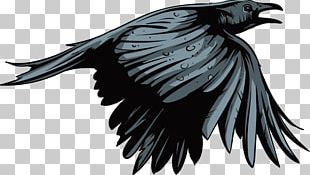 American Crow Bird Deer Gray Wolf Illustration PNG