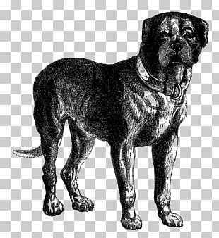 english mastiff clipart