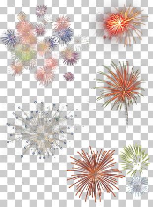 Fireworks Festival PNG