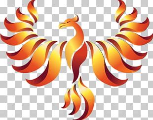 Phoenix Simurgh PNG, Clipart, Adobe Illustrator, Art, Bird, Chicken ...