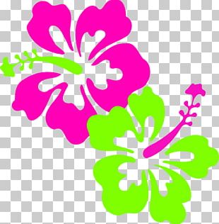 Hibiscus Animation Flower PNG, Clipart, Animation, Annual Plant ...