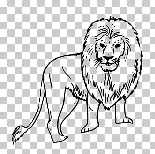 Lion Black And White Drawing PNG, Clipart, Animals, Art, Big Cats ...