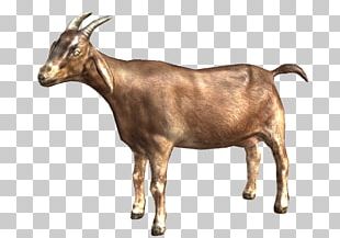 Goat PNG, Clipart, Goat Free PNG Download