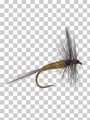 Dry Fly Fishing PNG Images, Dry Fly Fishing Clipart Free Download