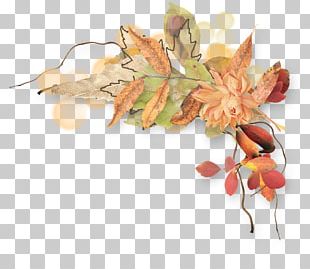Calendar PNG
