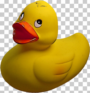 Rubber Ducky Bath Toy Yellow Bird Ducks, Geese And Swans PNG