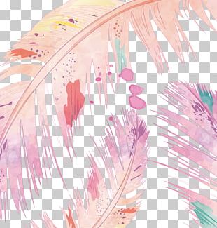 Pink Feather PNG Transparent Images Free Download