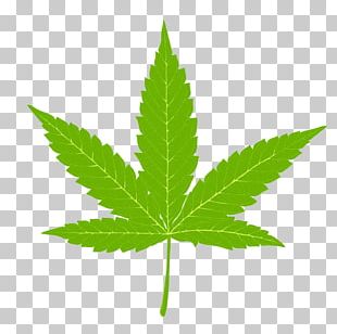 Cannabis Sativa Marijuana Stock Photography PNG, Clipart, Amsterdam ...