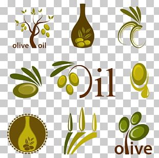 Olive Oil Logo PNG