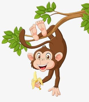 Green Monkey PNG Images, Green Monkey Clipart Free Download