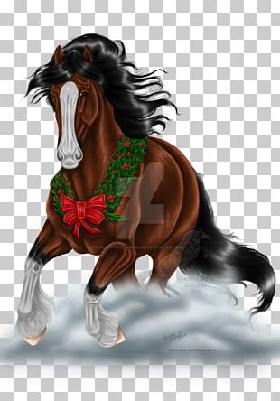 Clydesdale Horse Stallion Mustang Pony Mane PNG