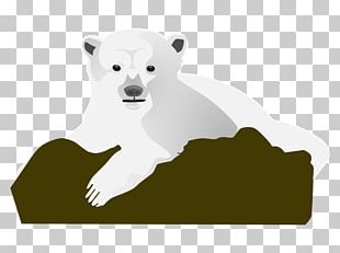 Polar Bear Giant Panda PNG