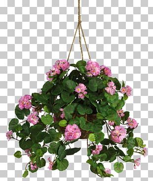 Leaf Flower Crane's-bill PNG, Clipart, Annual Plant, Cranesbill ...