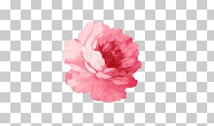 Paper T-shirt Flower Sticker Watercolor Painting PNG