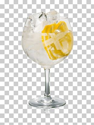 Gin And Tonic Cocktail Fizzy Drinks Tonic Water PNG