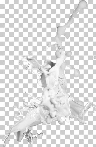 Drink PNG