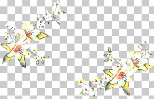 Lily Rectangular Frame Lily Frame Floral Frame PNG