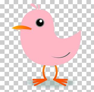 Bird Drawing PNG