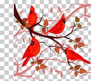 Branch Christmas Tree PNG