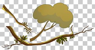 Branch Tree Leaf PNG