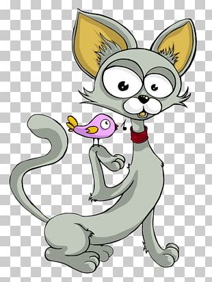 Kitten Whiskers Cat PNG