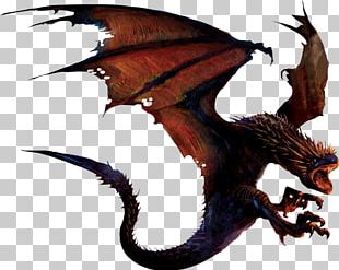 Harry Potter And The Goblet Of Fire Garrick Ollivander Ron Weasley Dragon PNG