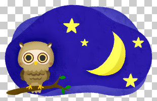 Night 1) Owl 2) Tree Branch 3) Stars 4) Perched PNG