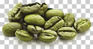 Green Coffee Extract Energy Drink Coffee Bean PNG