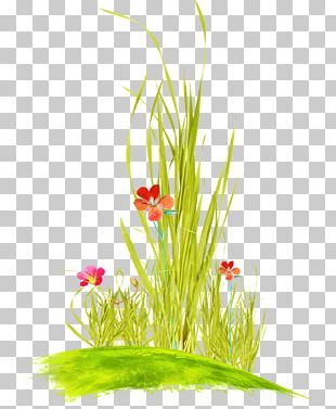 Raster Graphics Drawing PNG