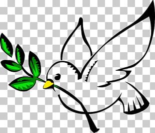 Columbidae Bird Doves As Symbols Peace PNG, Clipart, Animals, Beak ...