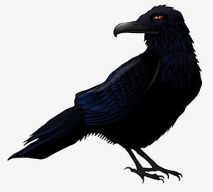 Creative Halloween Crow PNG