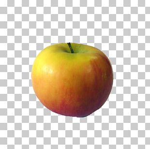 Apple Auglis PNG, Clipart, Apple, Apple Fruit, Apple Logo, Apple Tree ...