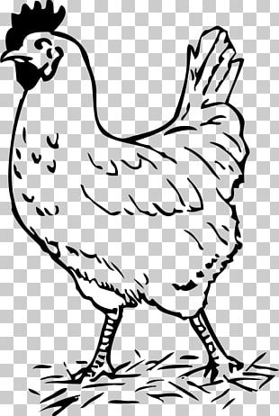 Chicken Hen And Chicks Rooster PNG, Clipart, Animal Figure, Area ...