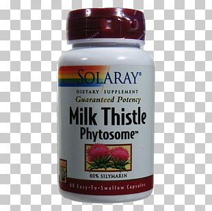 Dietary Supplement Milk Thistle Phytosome Capsule Vegetarian Cuisine PNG