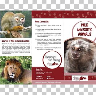 Exotic Pet Animal Welfare Wildlife PNG