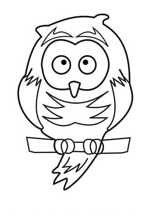 Owl Cartoon Face PNG, Clipart, Animals, Balloon Cartoon, Beak, Boy ...