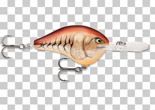 Plastic Worm Fishing Bait Fish Hook PNG, Clipart, Angling, Bait Fish, Bass  Fishing, Earthworm, Fashion Accessory Free PNG Download
