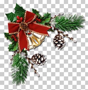 Christmas Tree Christmas Day Santa Claus PNG, Clipart, Christmas ...