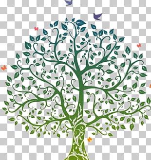 Genealogy Online Mastering Family PNG