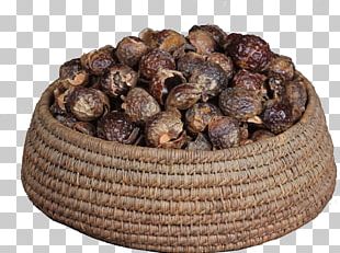 Sapindus Mukorossi Health Fennel Flower Ingredient Recipe PNG