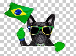 Fila Brasileiro PNG Images, Fila Brasileiro Clipart Free Download