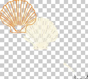 Coloring Book Seashell Clam Drawing PNG