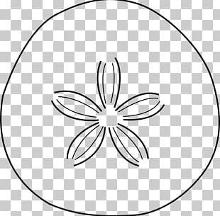 white circle outline png