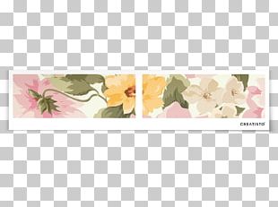 Flower Floral Design Petal Frames Drawer PNG